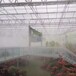 蚌埠温室大棚喷雾加湿降温系统