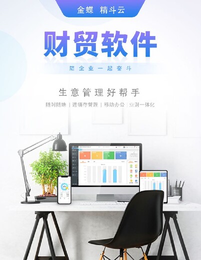 湖南邵阳小微型企业财务在线做账软件精斗云服务,金蝶精斗云