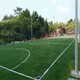 甘肃足球场地人工草坪图