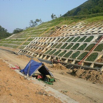 四川大安区植生砼护坡增强剂