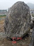泰山石品种繁多,花岗岩图片1