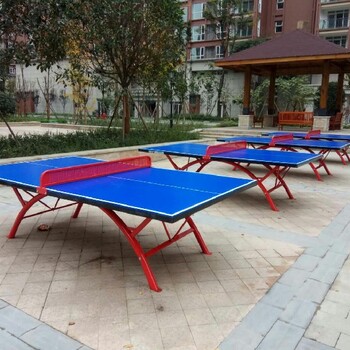 宁波学校乒乓球台生产厂家