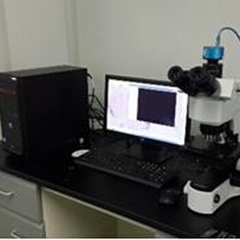 光学显微分析检测服务