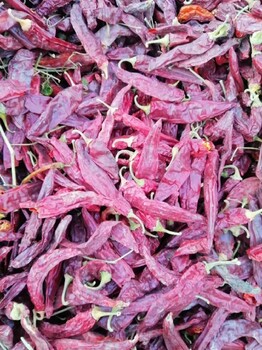 细致新疆干红辣椒大量出售厂家,新疆辣椒