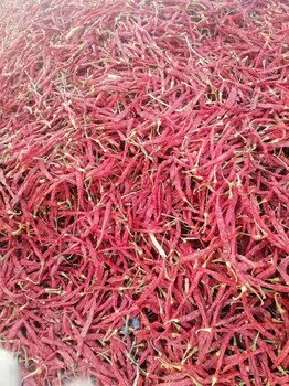 红龙23新疆干红辣椒大量出售厂家,新疆辣椒出售