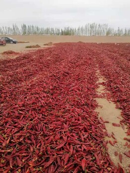 传统新疆干红辣椒大量出售量大优惠、服务至上,新疆辣椒出售