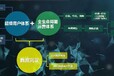 廣元青島鼠標公司網站建設服務,小程序搭建