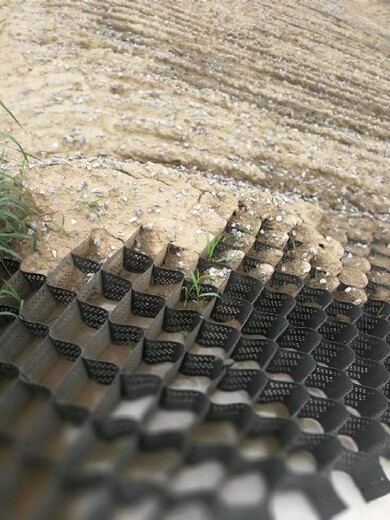 黄山蜂巢约束系统护坡批发,蜂巢格室生态护坡