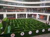 徐州设计绿植迷宫设计合理