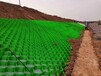 上海土工格室厂家批发价格,蜂巢土工格室,高强土工格室