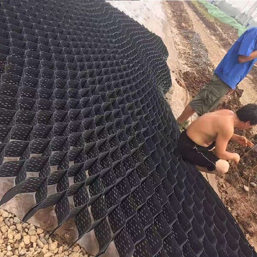 随州蜂巢约束系统护坡厂家,蜂格护坡系统