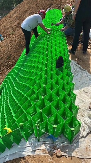 河南蜂巢土工格室批發(fā),土工格室,護(hù)坡土工格室