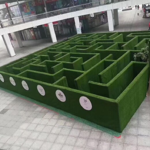 杭州从事绿植迷宫多少钱