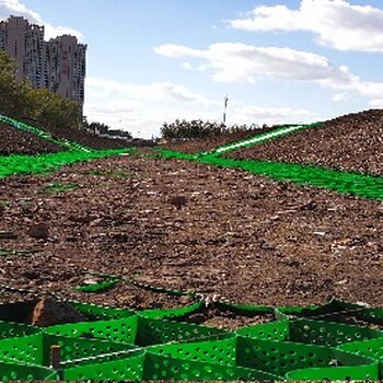 纳米合金蜂巢格室厂家,双鸭山蜂巢土工格室加工批发零售厂家