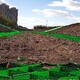 蜂巢格護(hù)坡系統(tǒng)廠家圖