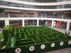 杭州新款绿植迷宫市场优势,绿植迷宫租赁