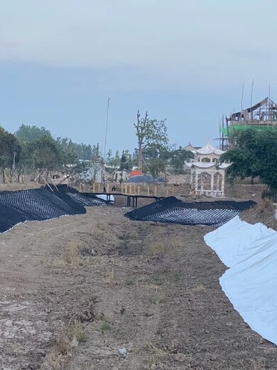天津土工格室廠家批發(fā)價(jià)格,護(hù)坡土工格室,PCA蜂巢土工格室