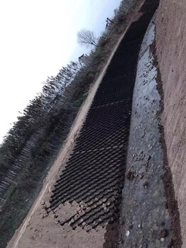 凉山道路蜂巢格室基层厂家,蜂巢格室生态护坡规格价格