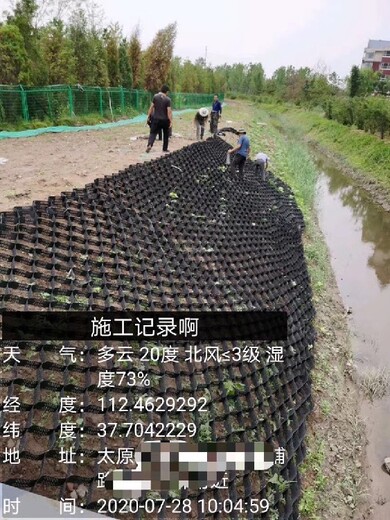 楚雄蜂巢土工格室廠家價(jià)格,綠色蜂巢格室廠家規(guī)格