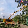 万泽愚公高速中分带修建机,新疆景观园林绿化苗木的修剪
