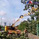 萬澤愚公修剪灌木植物的機器,云南高速公路綠化帶修剪機器