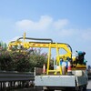 河北車載式公路綠化帶修剪設備,修剪灌木植物的機器
