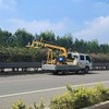 浙江車載式高速公路中分帶綠化修剪機,綠化修建綠籬機