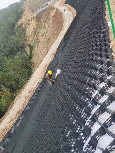 上海蜂巢土工格室销售厂家附近,蜂巢格室,河道护坡蜂巢格室