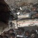 盐田区地埋供水管网测漏，探测家里暗管漏水，水管查漏维修展示图