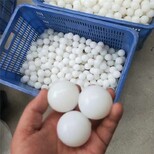 超英硅膠球搖擺篩用的硅膠球,渝中耐化學腐蝕性能好硅橡球搖晃篩的配件圖片2