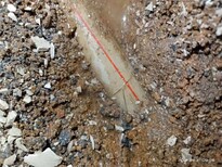 埋地管道检测漏水			,管道查漏图片2