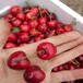泰州吉塞拉櫻桃苗多少錢一棵,櫻桃樹