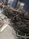 东洲废旧电缆线回收图