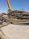 滨海新区高压电缆回收图