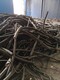 岫岩县废旧电缆线回收图