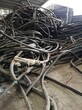 宜昌本地电缆回收（长期回收）图片