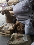 九江县哪里回收热熔胶，回收热熔胶价格多少服务,亚敏胶图片1