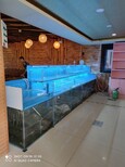 東坦海鮮池玻璃海鮮池,梅州制冷海鮮池款式圖片2