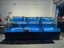 韶關生產海鮮池操作簡單,pvc板海鮮池圖片3