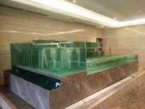 東坦海鮮池玻璃海鮮池,梅州新款海鮮池圖片3