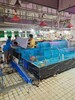 潮州貝殼類海鮮池安全可靠,玻璃海鮮池