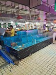 揭陽海鮮池廠家,玻璃海鮮池圖片0