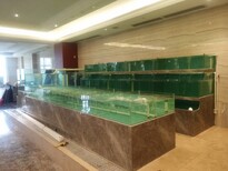 廣州玻璃海鮮池,pvc板海鮮池圖片2