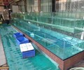 東坦海鮮池玻璃海鮮池,梅州移動塑料海鮮池操作簡單