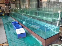潮州蝦蟹類海鮮池售后保障,玻璃海鮮池圖片3