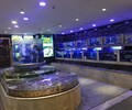 東坦海鮮池玻璃海鮮池,廣州超市海鮮池放心省心