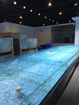 東坦海鮮池玻璃海鮮池,廣州超市海鮮池放心省心圖片4