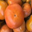 岳池黑柿子樹苗種植時間、柿子樹苗多少錢一棵,次郎甜柿