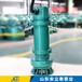 钦州生产WQB防爆潜污泵市场报价,不锈钢防爆泵