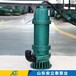 生产WQB防爆潜污泵市场报价,不锈钢防爆泵